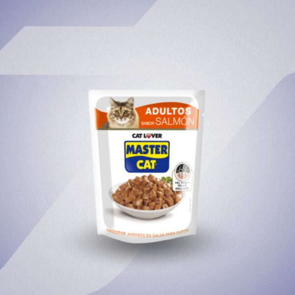 Master Cat Caja 20 Trocitos Jugosos Salmón 85g